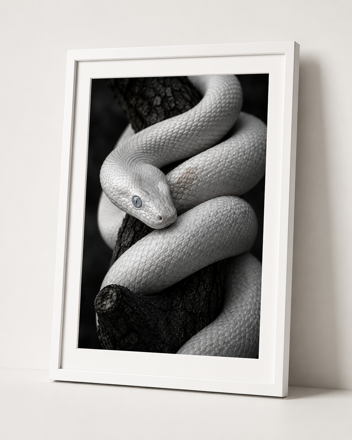 White Snake in Ivory Coil