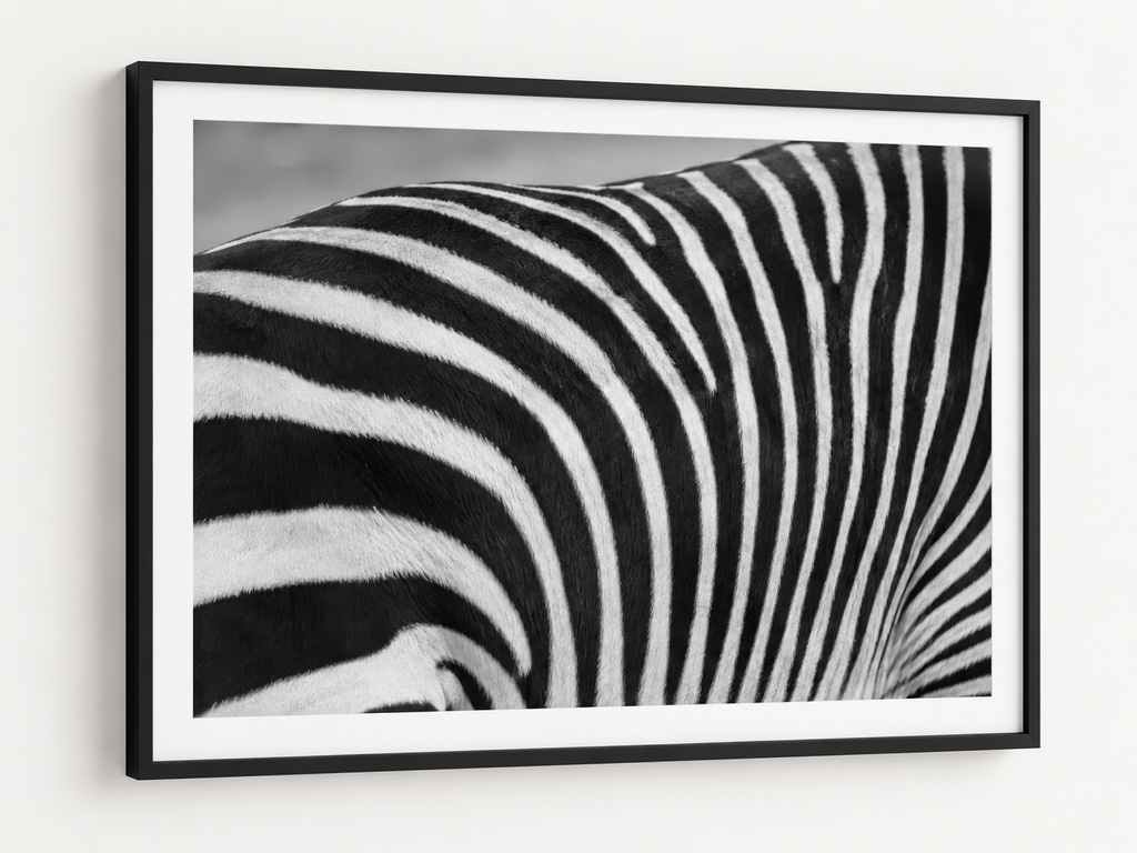 The Zebras Pattern