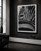 The Zebras Glance