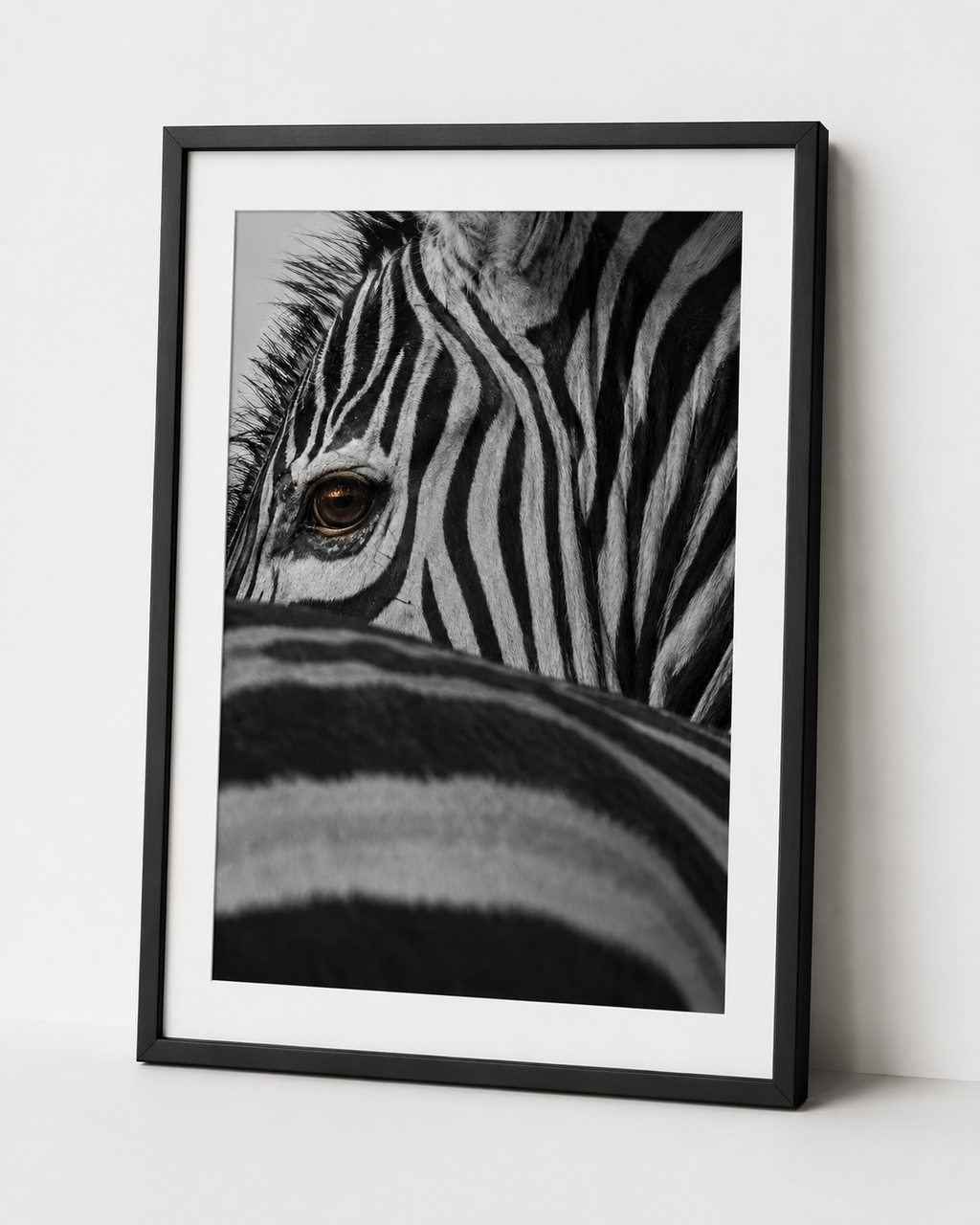The Zebras Glance