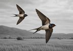 Swallows in Flight