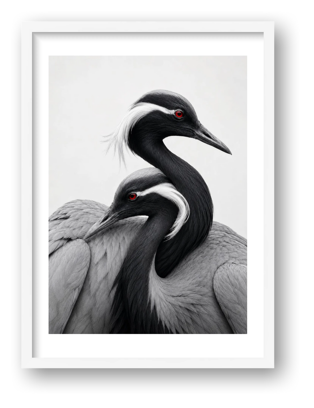 Demoiselle Cranes Together — framed