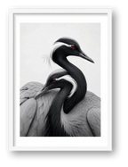 Demoiselle Cranes Together — framed