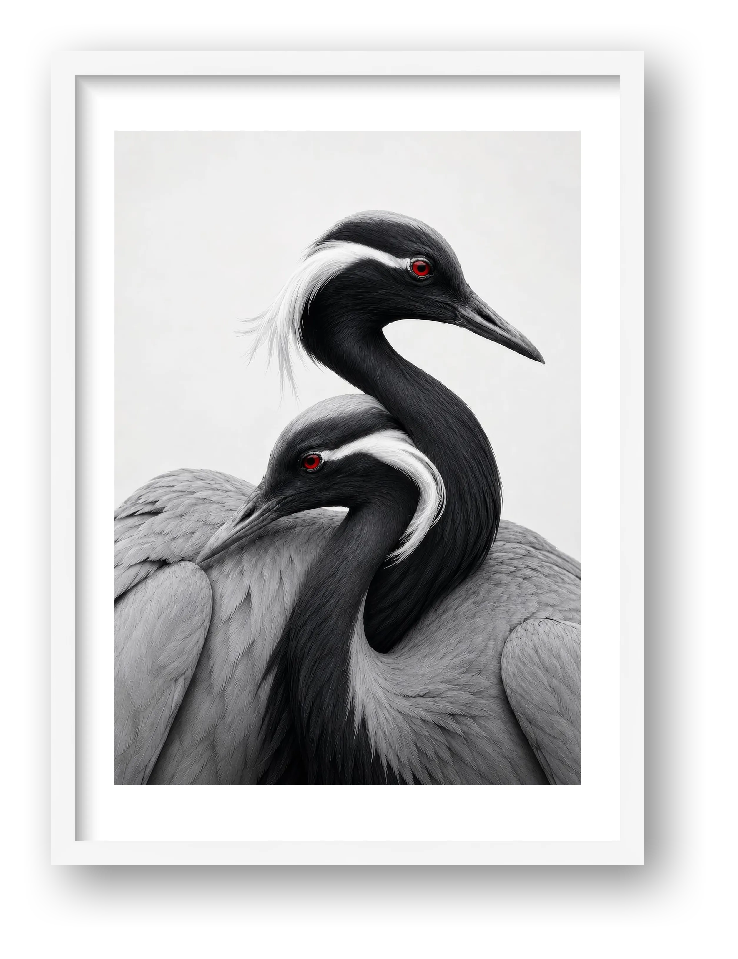 Demoiselle Cranes Together — framed
