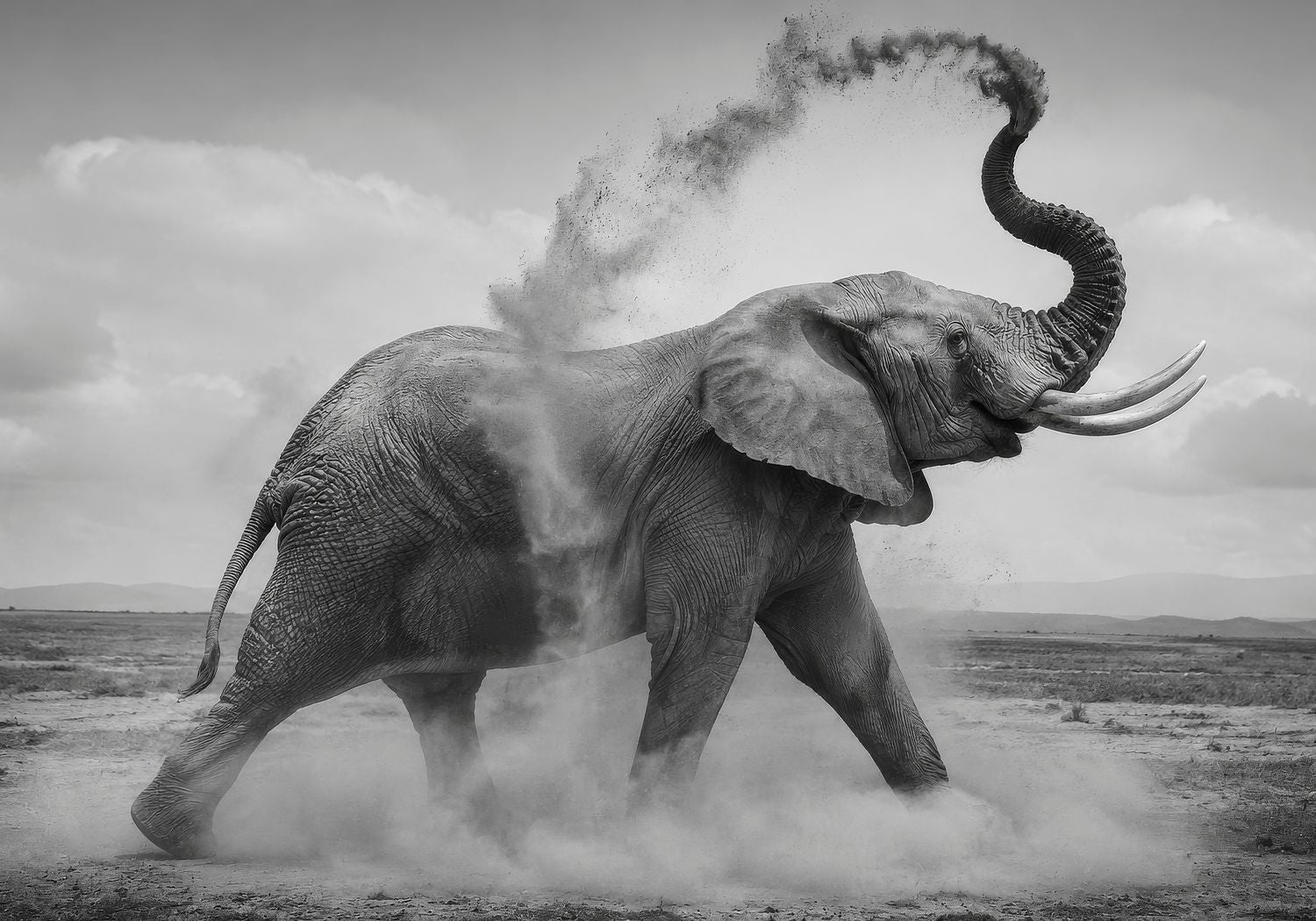 The African Elephant