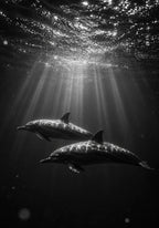 Dolphins Beneath the Surface